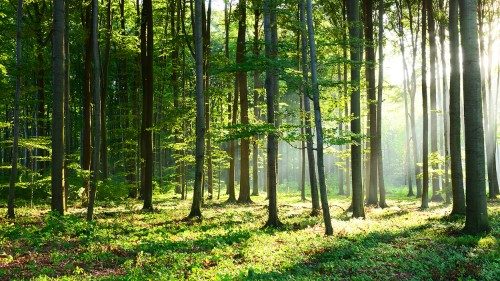 AdobeStock_131403836.jpeg